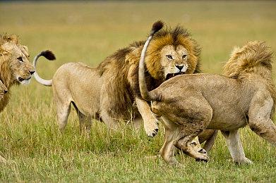 《巫师：重制版》开发进展顺利 但玩家们仍需等待