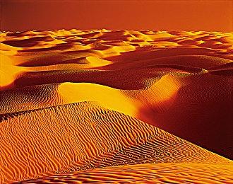 《家具：搭建及修理》Steam页面上线 2024年1月正式发售